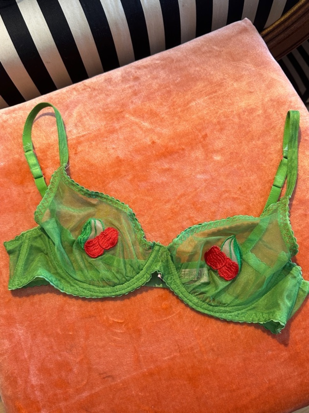 Super Rare Y2K Agent Provocateur Green Mesh Cherry Appliqué Underwire Bra